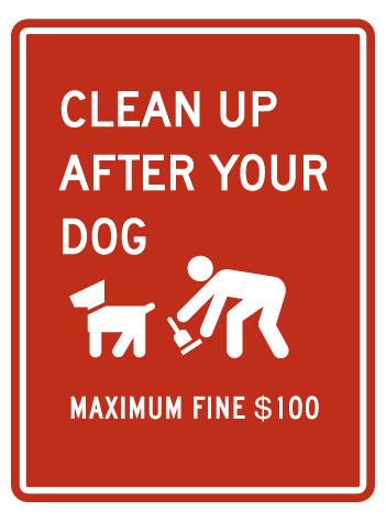 clean-up-after-your-dog